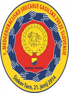 2014_06_21 Logo MGS